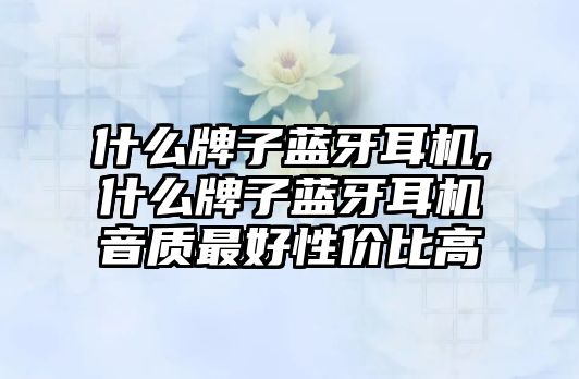 什么牌子藍(lán)牙耳機(jī),什么牌子藍(lán)牙耳機(jī)音質(zhì)最好性價(jià)比高