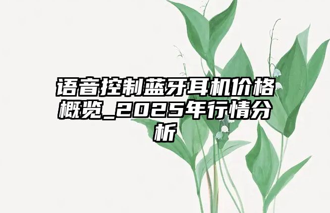 語音控制藍牙耳機價格概覽_2025年行情分析