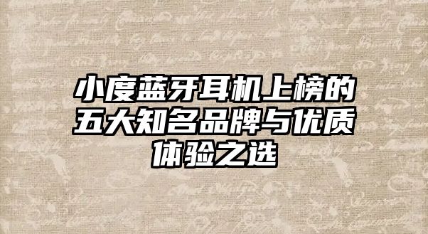 小度藍牙耳機上榜的五大知名品牌與優(yōu)質(zhì)體驗之選