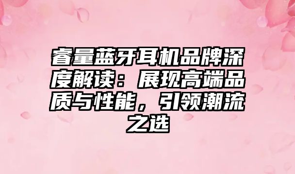 睿量藍(lán)牙耳機(jī)品牌深度解讀：展現(xiàn)高端品質(zhì)與性能，引領(lǐng)潮流之選