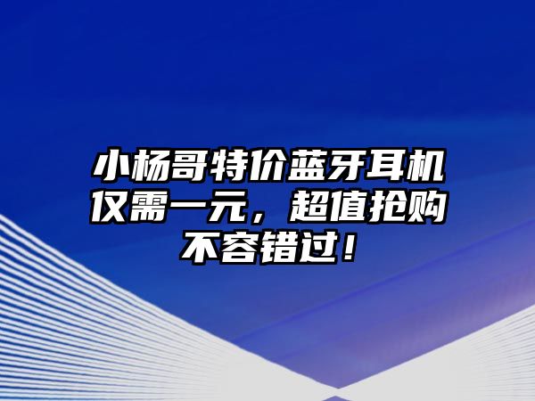 小楊哥特價藍牙耳機僅需一元，超值搶購不容錯過！