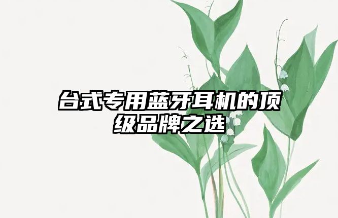 臺(tái)式專用藍(lán)牙耳機(jī)的頂級(jí)品牌之選