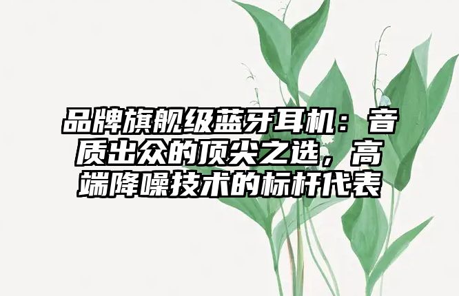 品牌旗艦級(jí)藍(lán)牙耳機(jī)：音質(zhì)出眾的頂尖之選，高端降噪技術(shù)的標(biāo)桿代表
