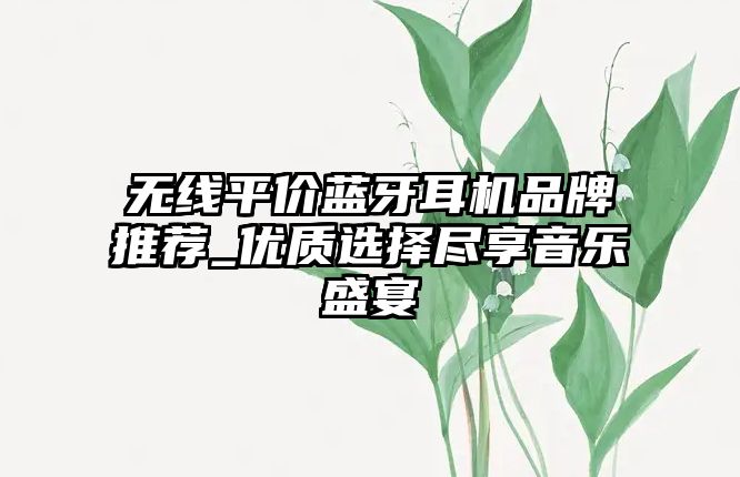 無線平價藍牙耳機品牌推薦_優(yōu)質選擇盡享音樂盛宴