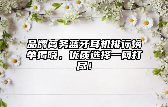 品牌商務(wù)藍牙耳機排行榜單揭曉，優(yōu)質(zhì)選擇一網(wǎng)打盡！