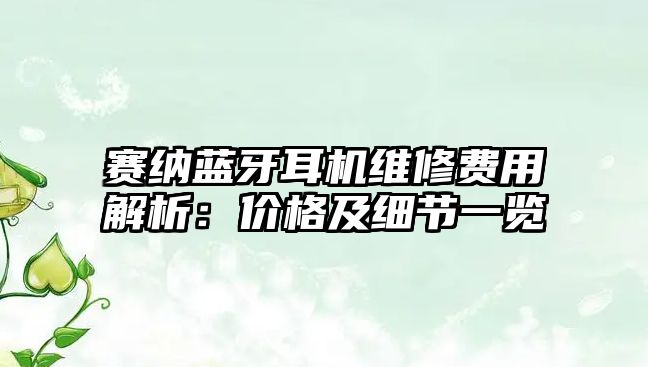 賽納藍(lán)牙耳機(jī)維修費(fèi)用解析：價(jià)格及細(xì)節(jié)一覽
