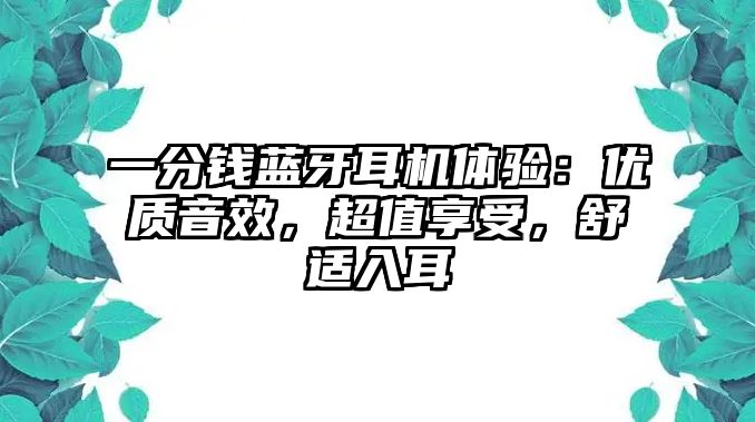 一分錢藍(lán)牙耳機體驗：優(yōu)質(zhì)音效，超值享受，舒適入耳