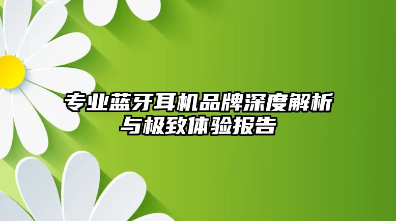 專業(yè)藍(lán)牙耳機(jī)品牌深度解析與極致體驗報告