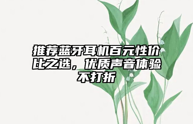 推薦藍(lán)牙耳機(jī)百元性價比之選，優(yōu)質(zhì)聲音體驗不打折