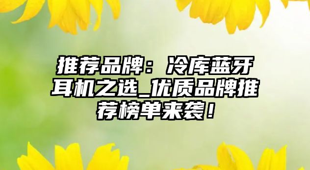 推薦品牌：冷庫藍(lán)牙耳機(jī)之選_優(yōu)質(zhì)品牌推薦榜單來襲！